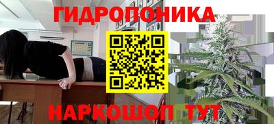 круглые Отрадный